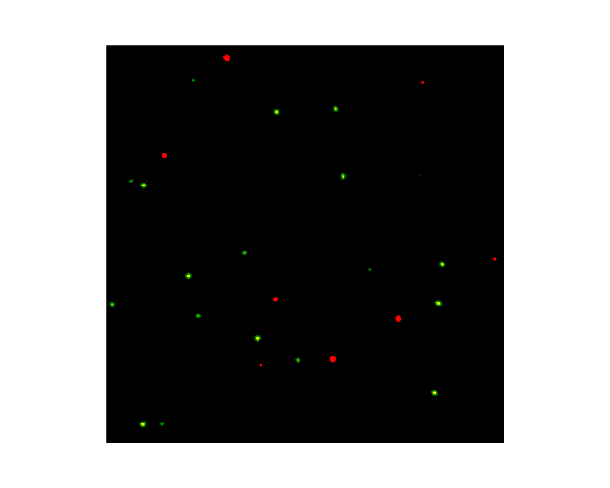 M1 M2 red green object count small1