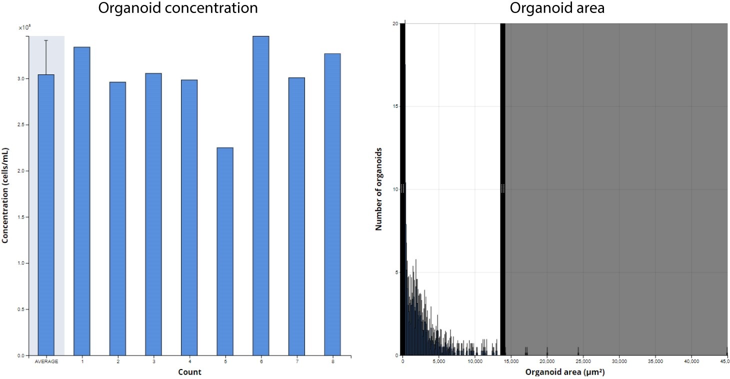 Organoid concentration and area