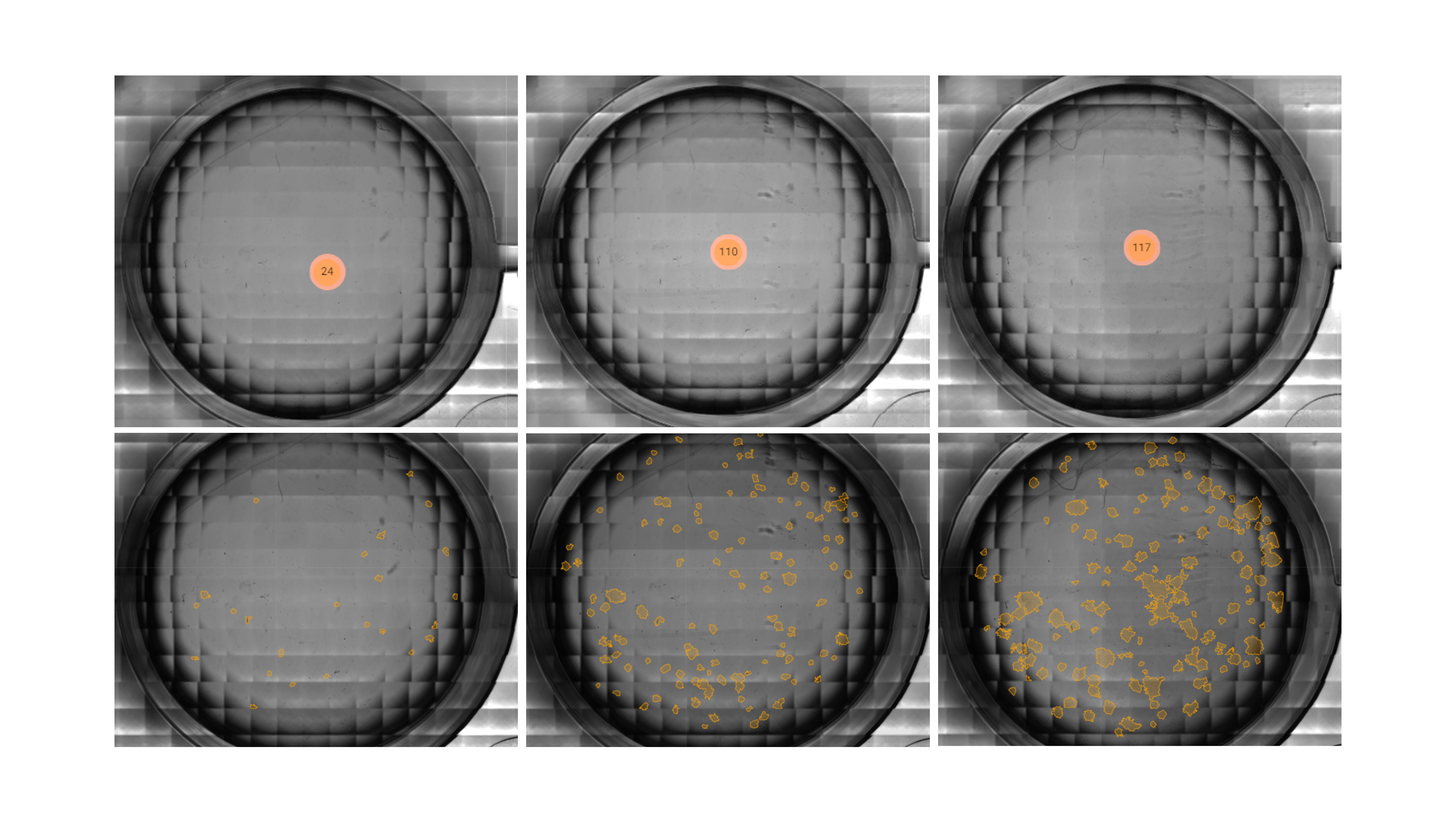 Omni clonogenic assay