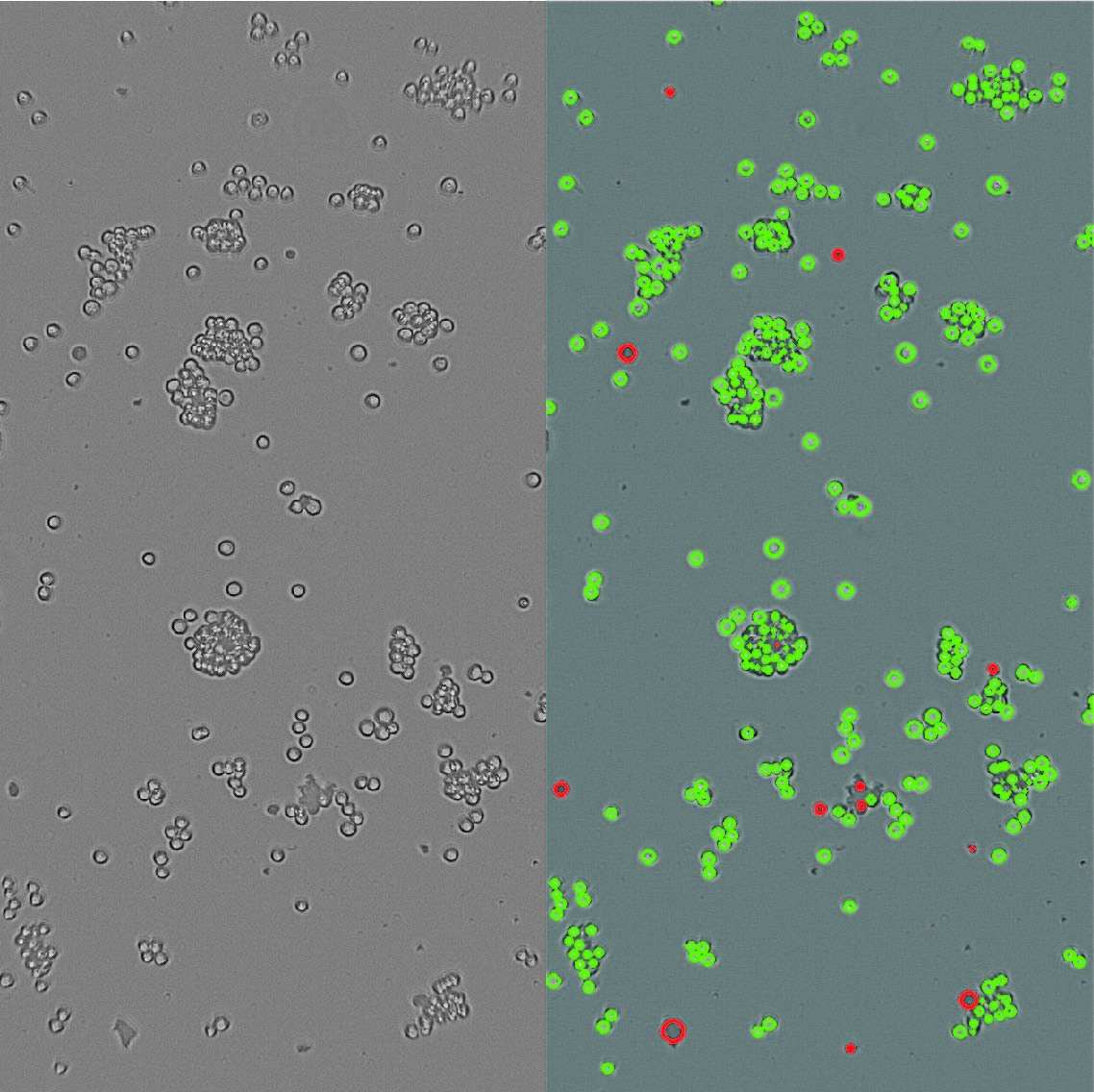All images cluster separation algorithm small v2