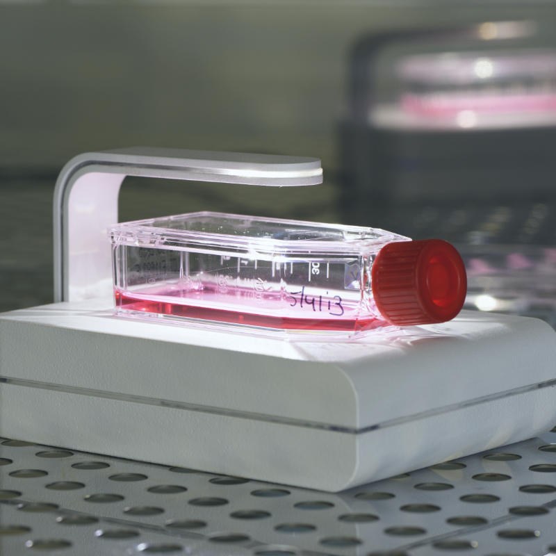 Cyto SMART Lux2 in incubator