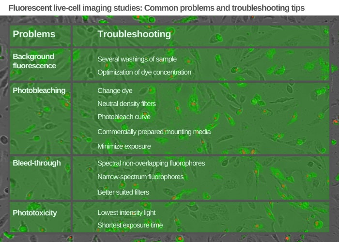 Fluorescent live-cell imaging troubleshooting tips