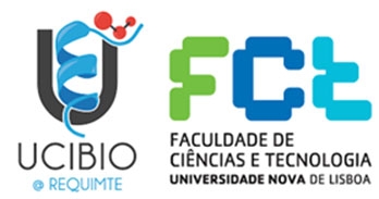 Dr. Catarina Roma-Rodrigues, Postdoctoral Fellow FCT-NOVA, Universidade NOVA de Lisboa