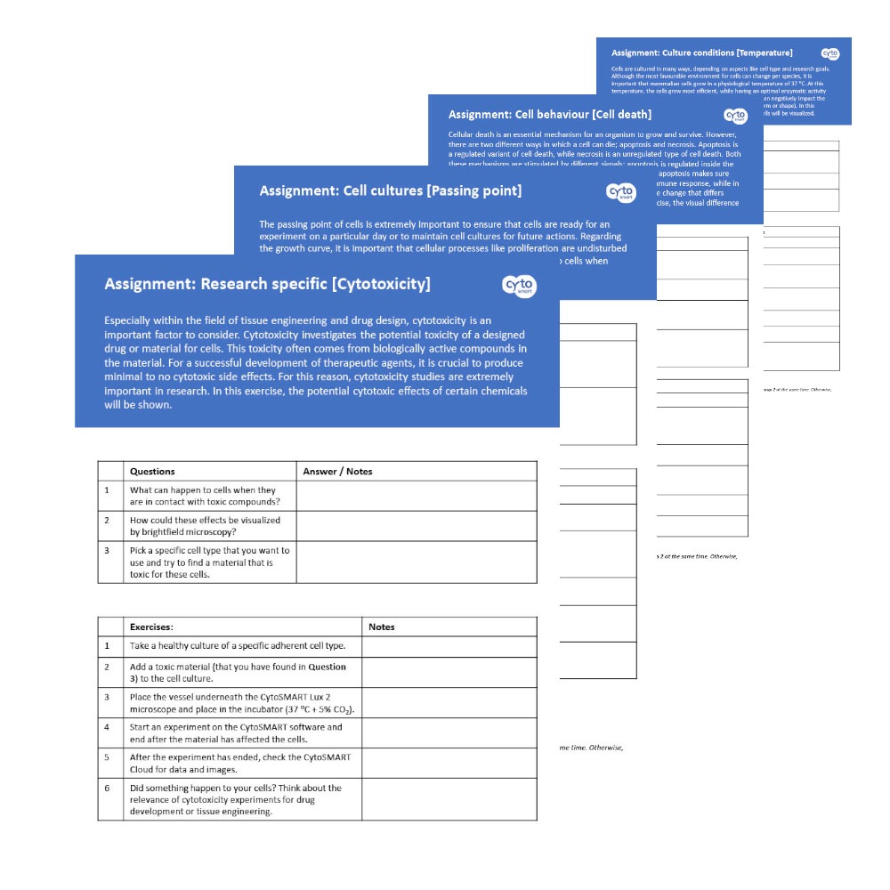 Website assignment example pic