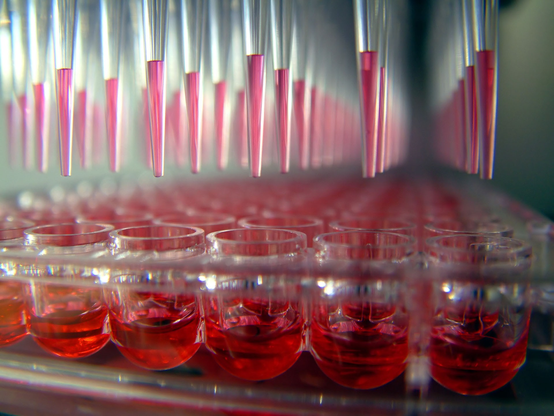 Lab automation pipetting