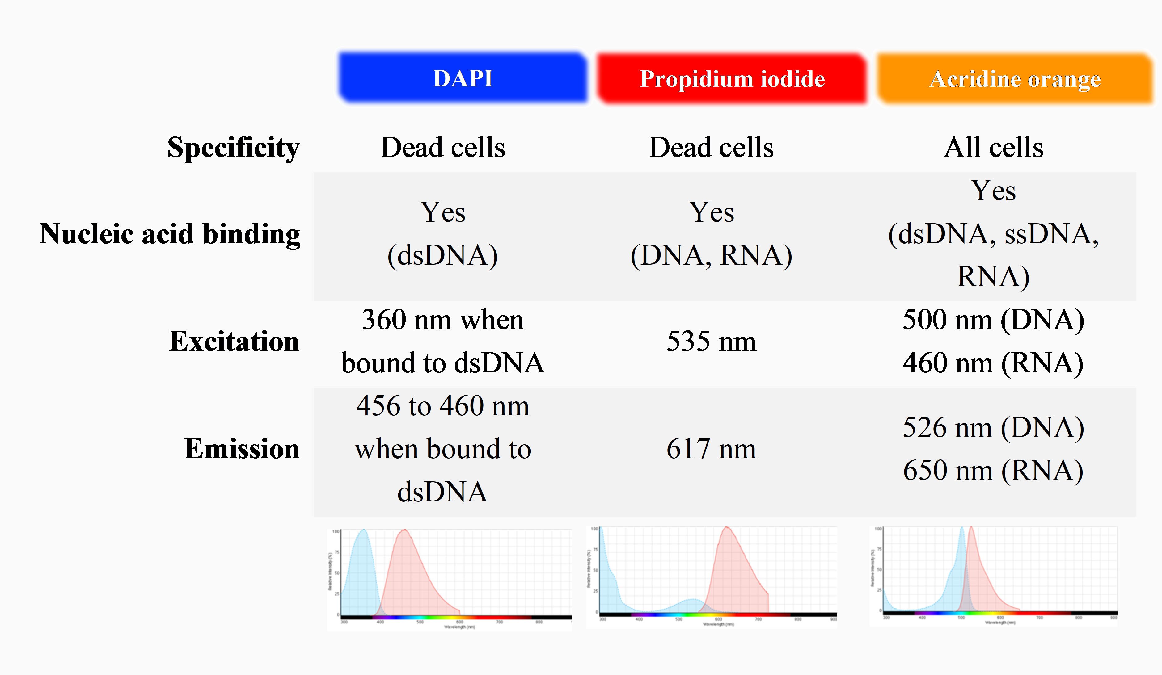 Characteristics of common fluorescence staining used for live/dead and total cell number counting